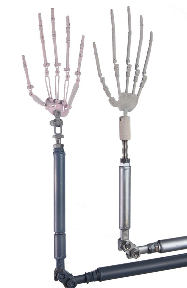 Starpery fully articulated phalange bones