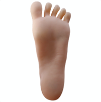 authentic hyper realistic sex doll