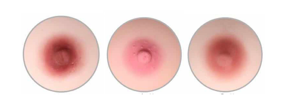 Dark areola option for sex dolls
