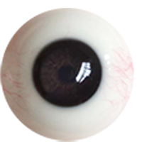 authentic hyper realistic sex doll