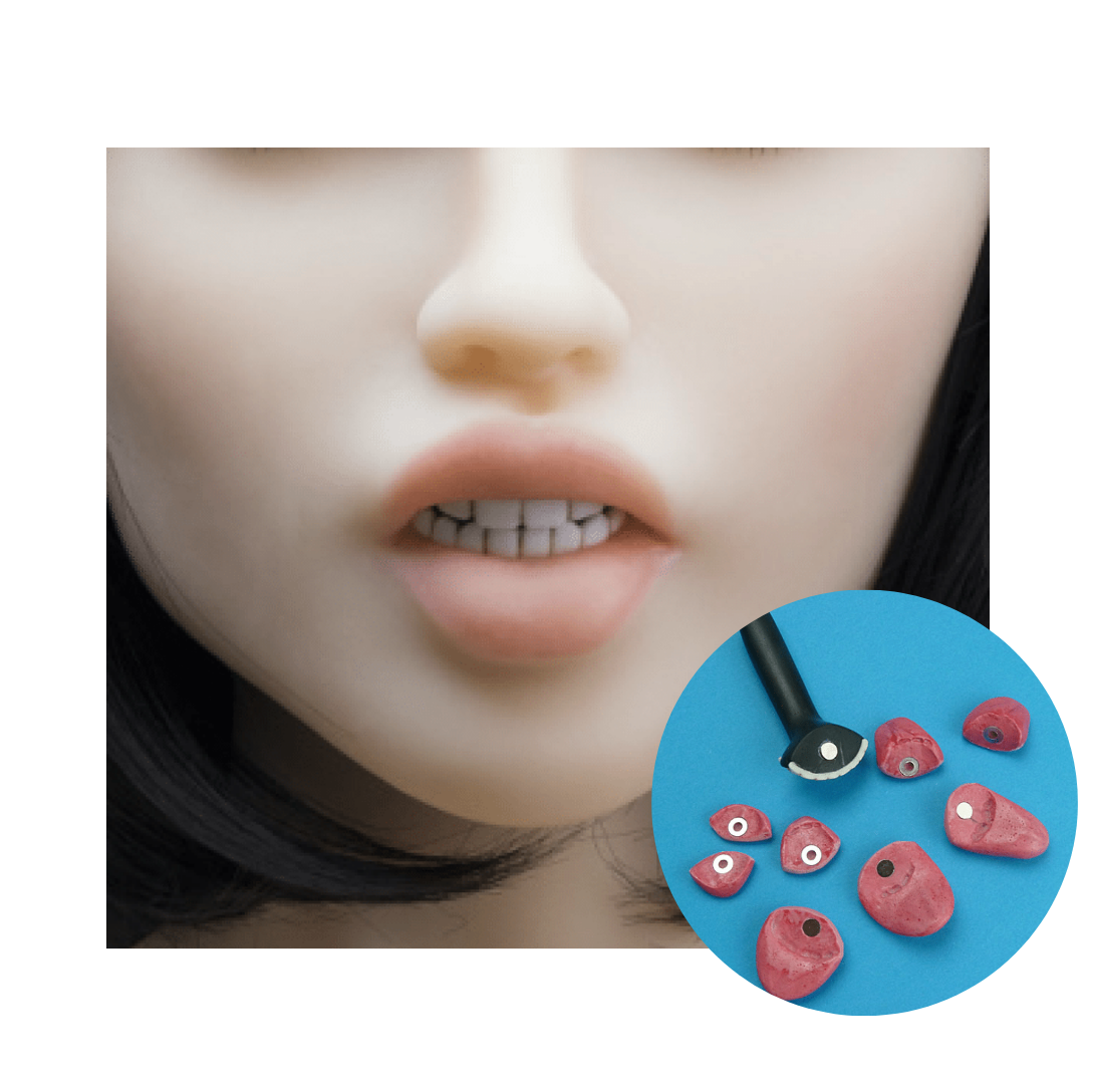 Teeth Tongue Set for Sex Dolls Doll Laboratory