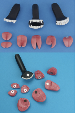 Teeth & Tongue Set